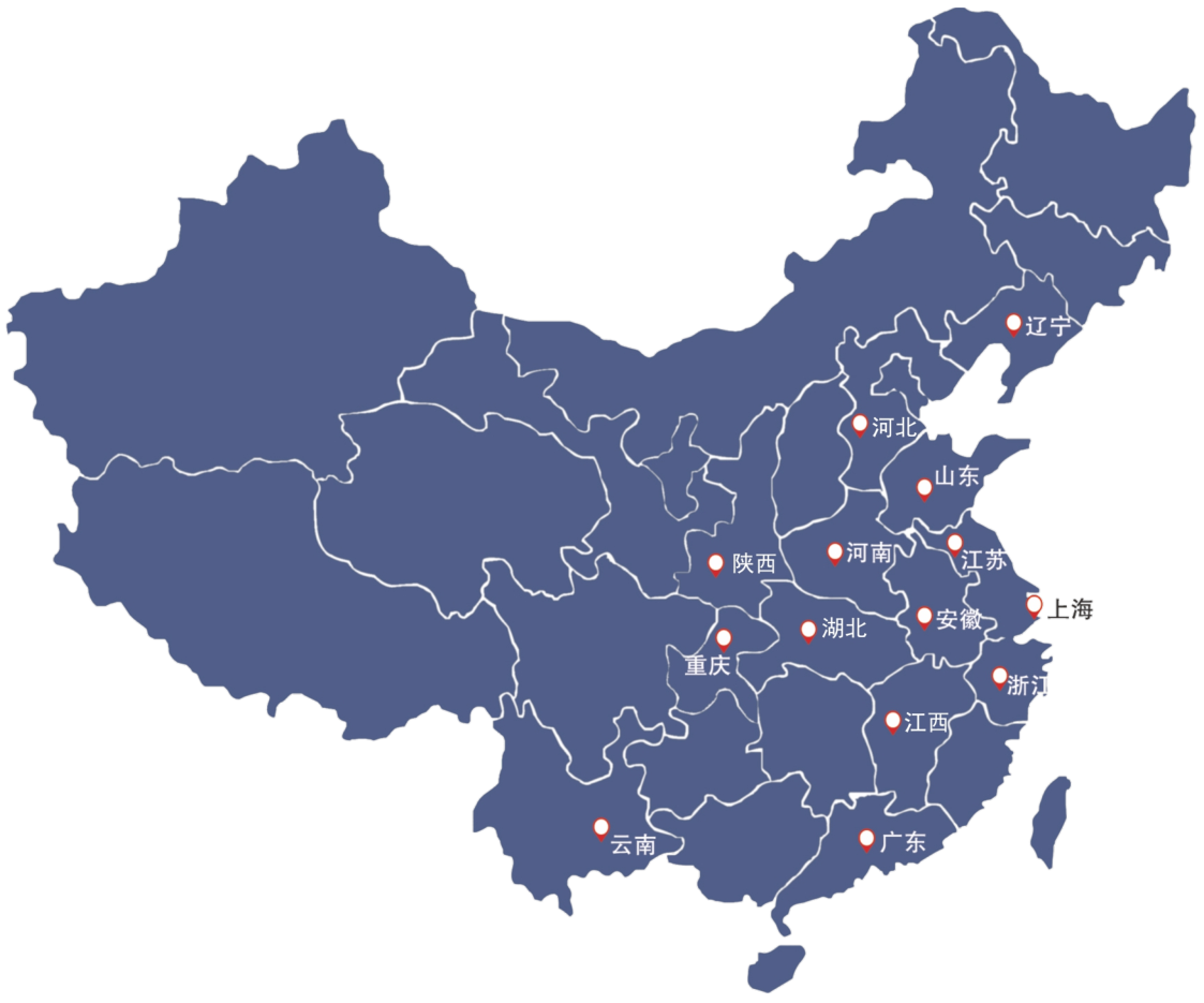 业务布局(图1)